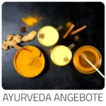 Aktiv - zeigt Ayurvedische Hotel Reisen mit verschiedenen Behandlungsmethoden im Überblick. Die schönsten Länder für Ayurveda Kuren